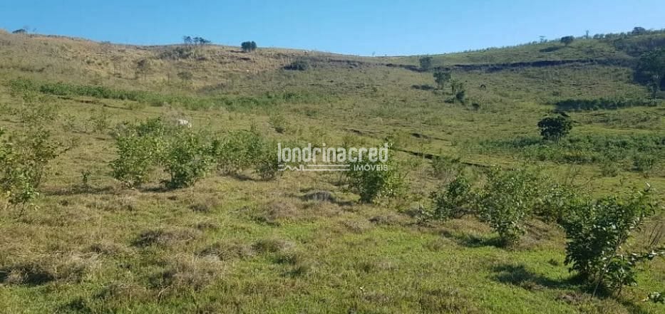 Terreno, 80 hectares - Foto 13