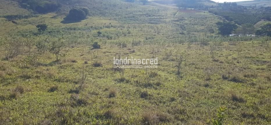 Terreno, 80 hectares - Foto 14