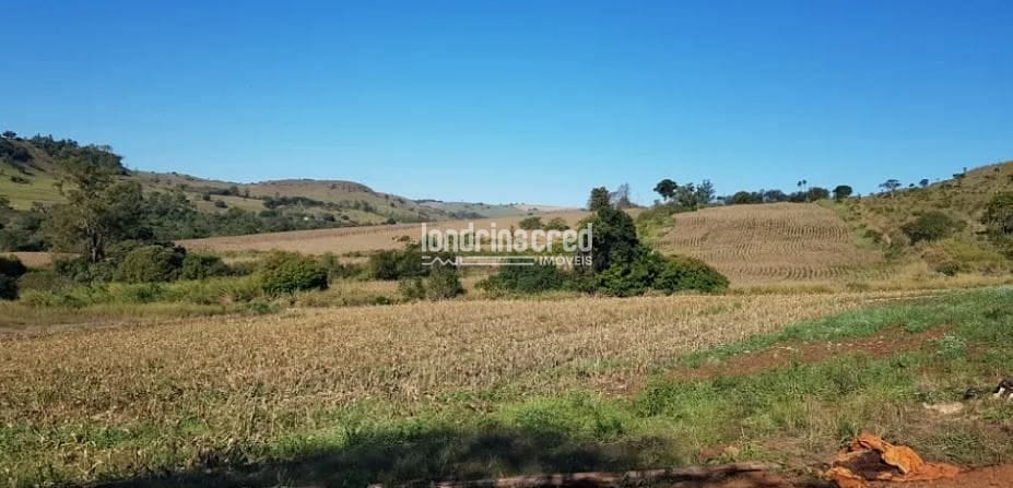 Terreno, 80 hectares - Foto 2