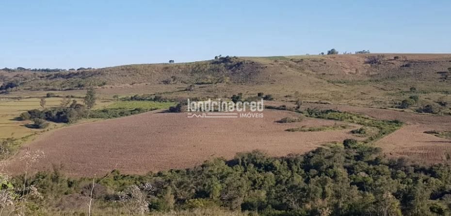 Terreno, 80 hectares - Foto 3
