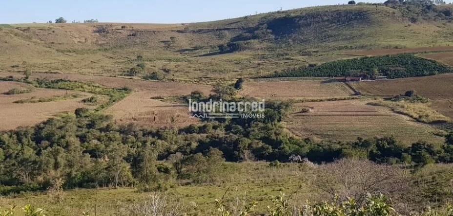 Terreno, 80 hectares - Foto 6