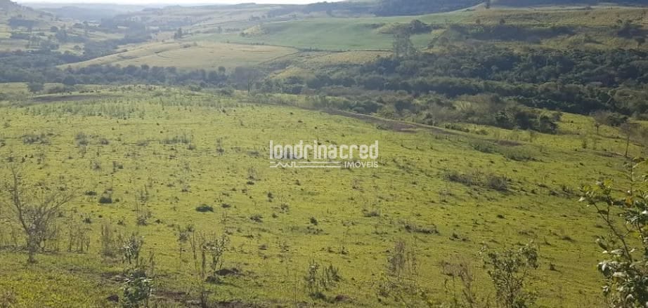 Terreno, 80 hectares - Foto 7