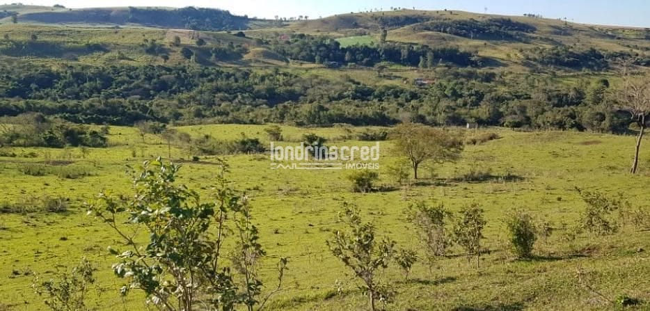 Terreno, 80 hectares - Foto 8