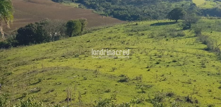 Terreno, 80 hectares - Foto 9