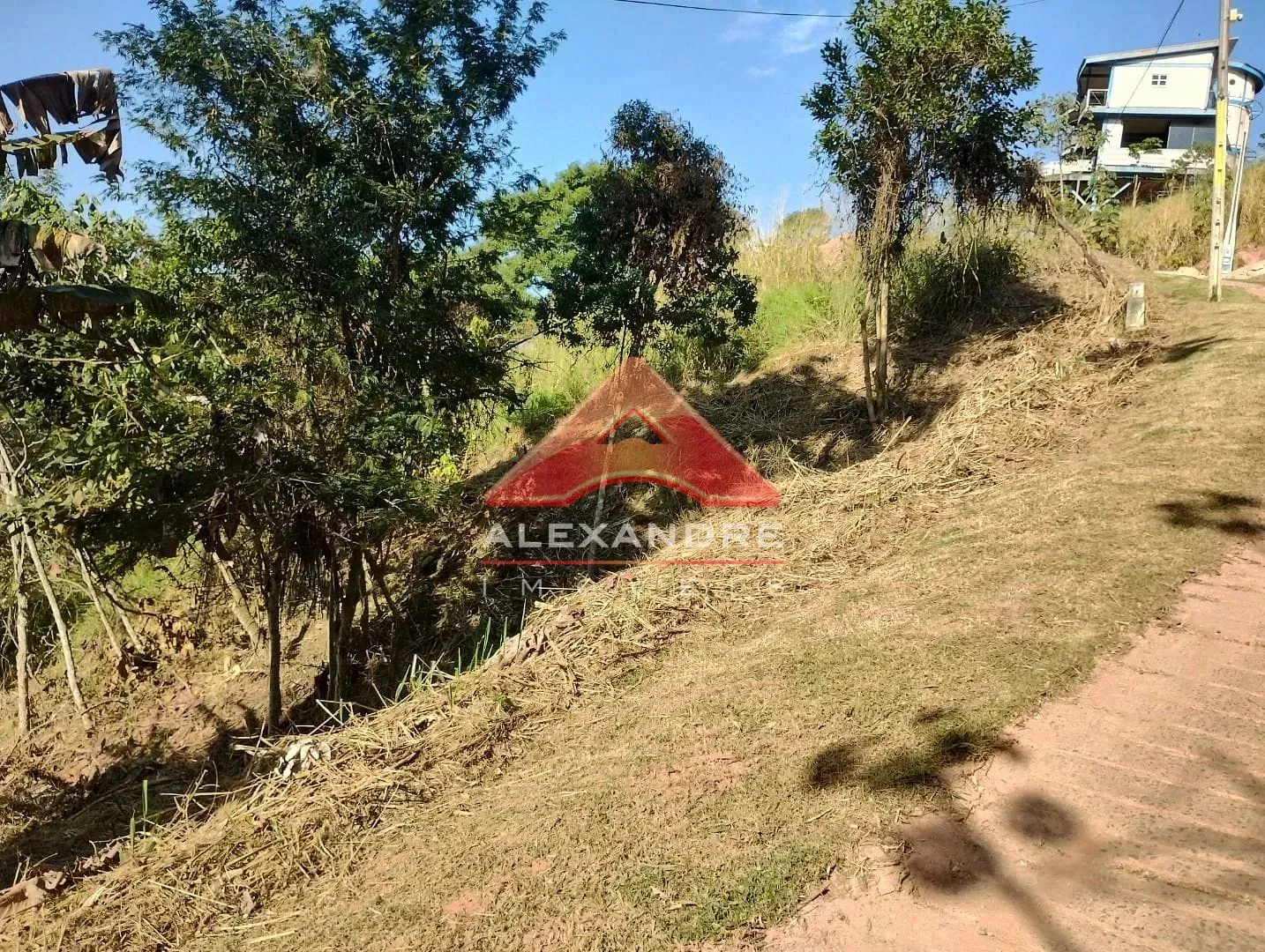 Terreno, 2505 m² - Foto 4