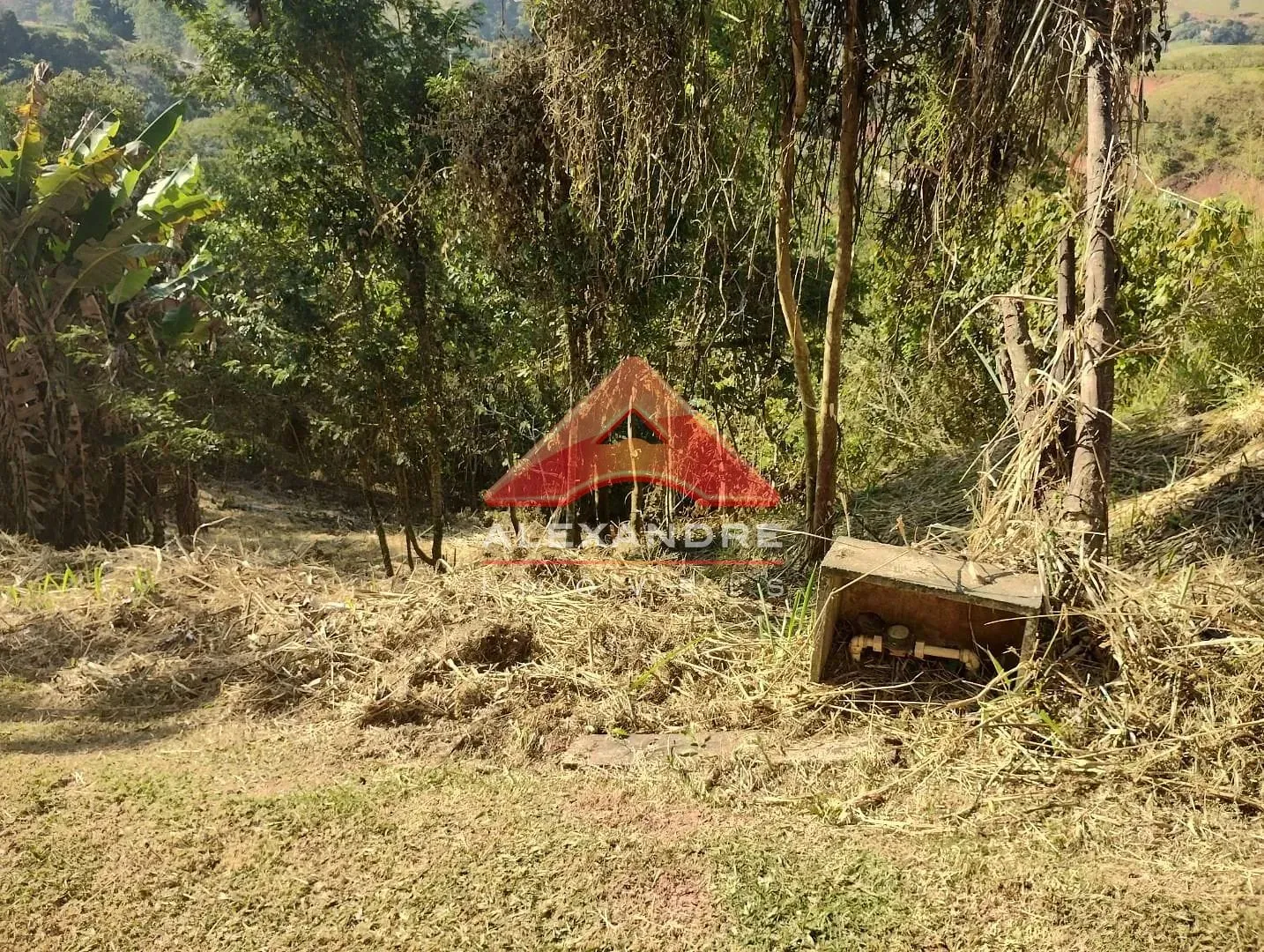 Terreno, 2505 m² - Foto 6