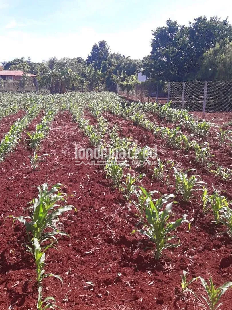 Terreno, 2044 m² - Foto 8