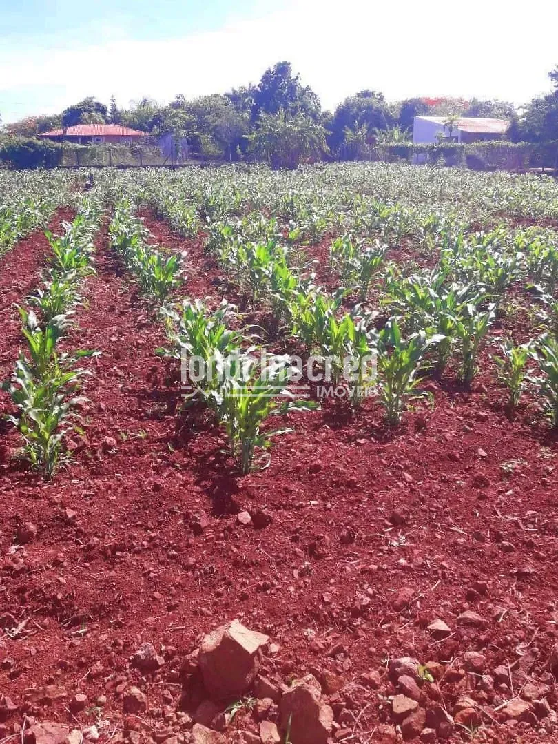 Terreno, 2044 m² - Foto 10