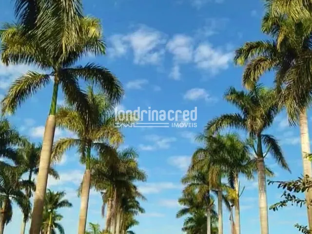 Terreno com 2044m², à venda, no bairro RURAL em Sertanópolis