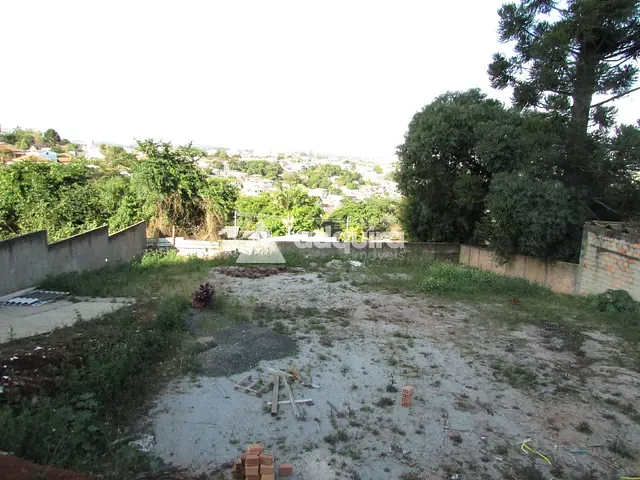 Terreno com 726m², para alugar, no bairro Olarias em Ponta Grossa