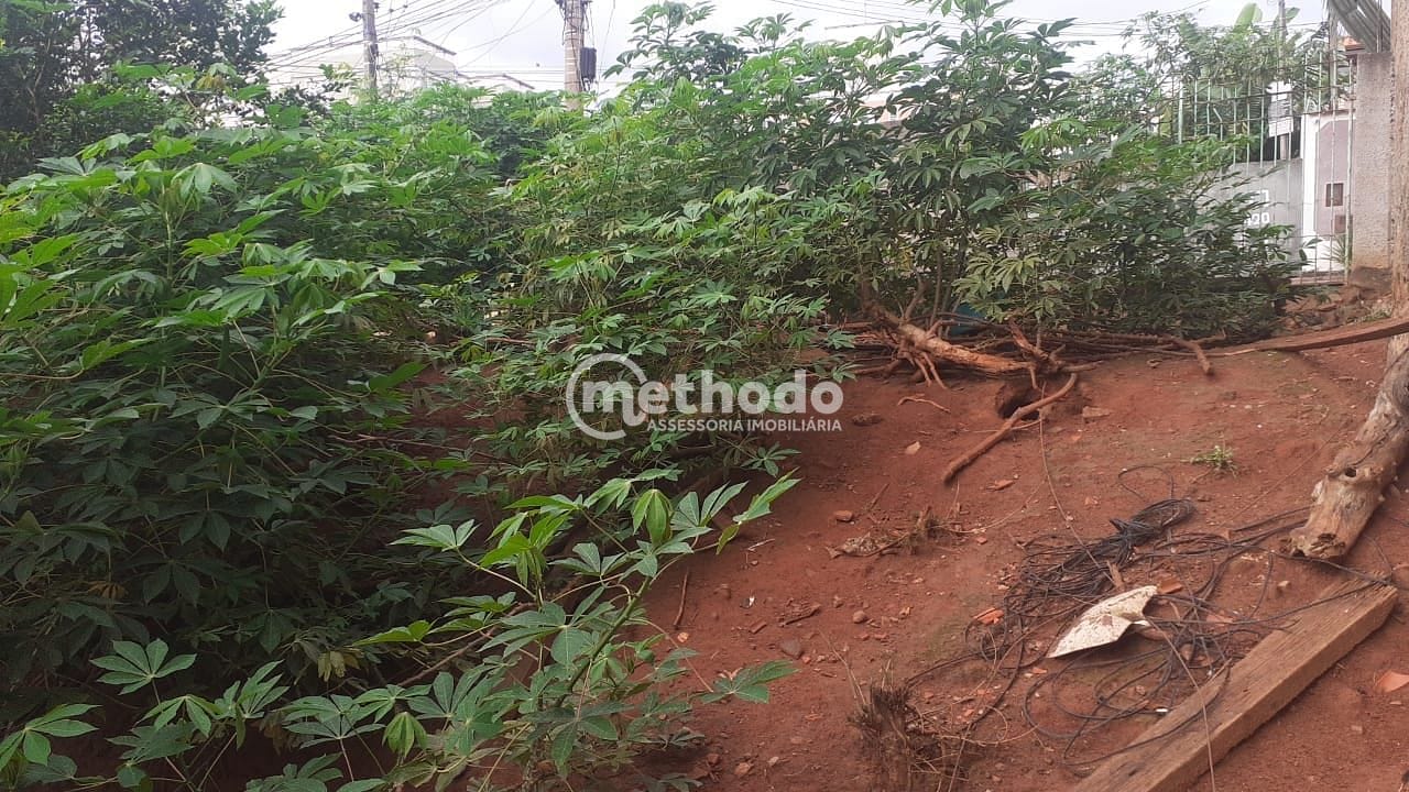 Terreno, 250 m² - Foto 3