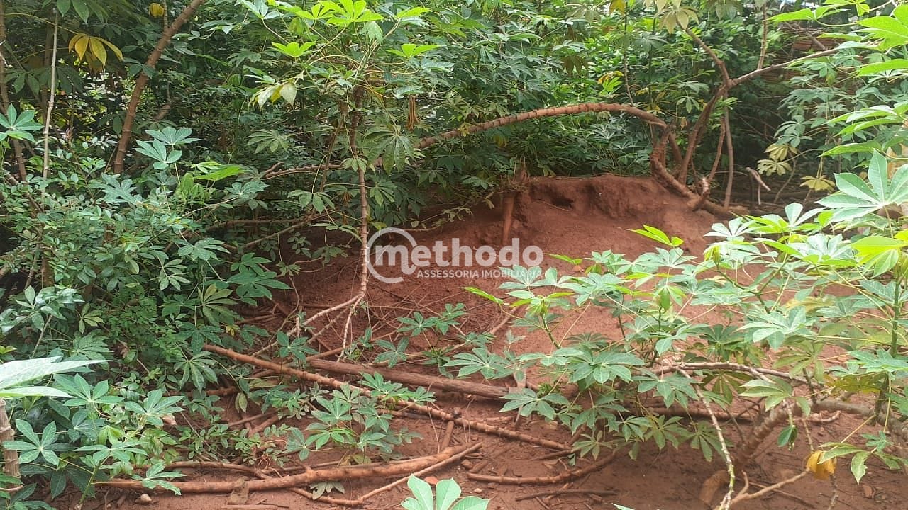 Terreno, 250 m² - Foto 5