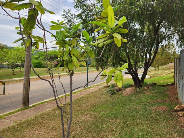 Foto do Terreno - Terreno à venda, Residencial Aldeia do Vale, Goiânia, GO | Portfolio Imóveis