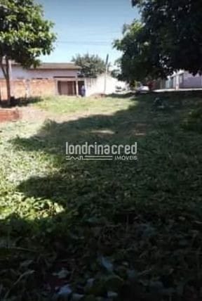 Terreno, 309 m² - Foto 3