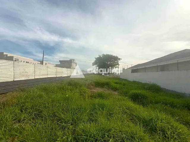 Terreno com 432m², à venda, no bairro Jardim Carvalho em Ponta Grossa