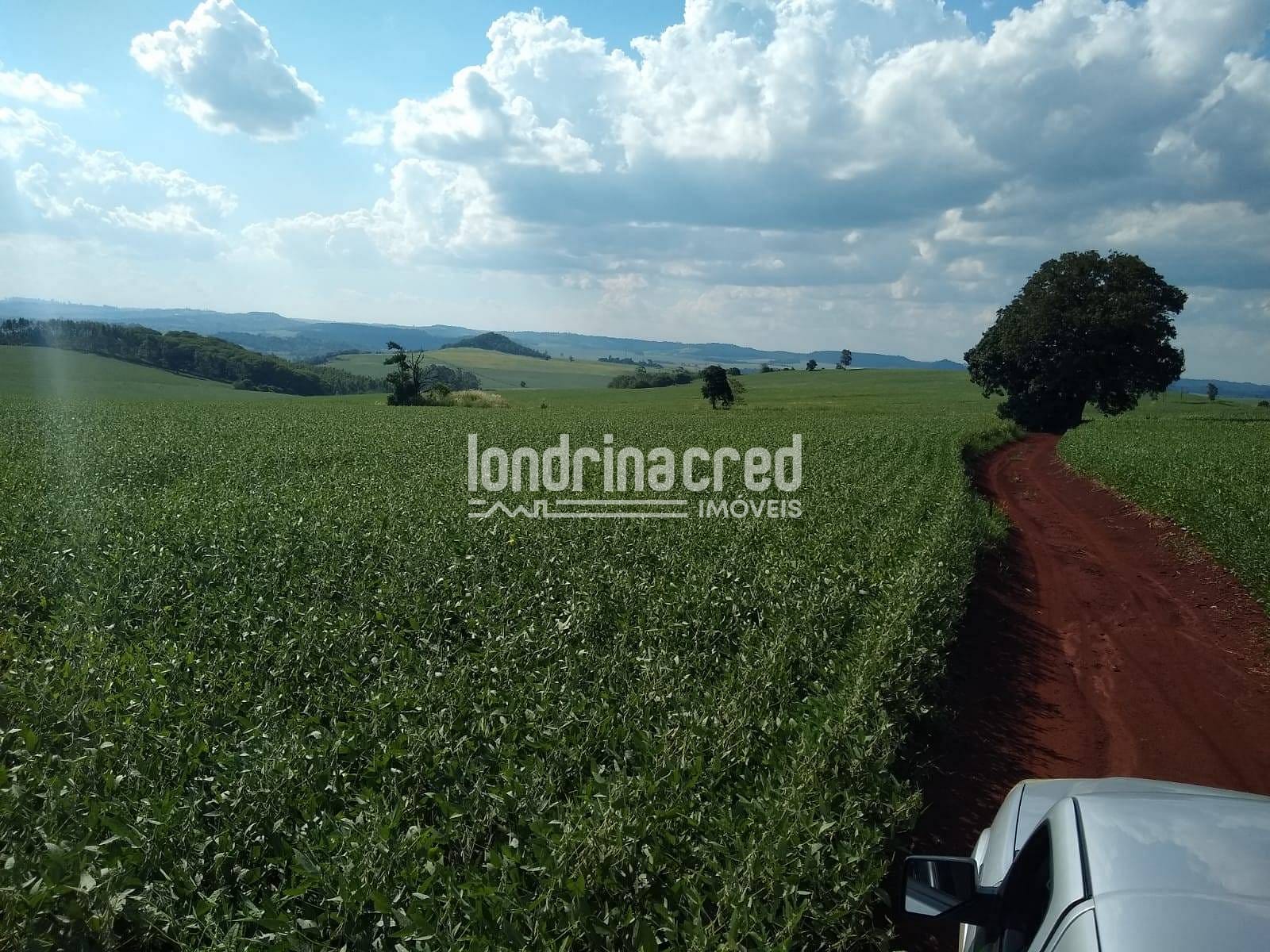 Terreno, 9 hectares - Foto 2