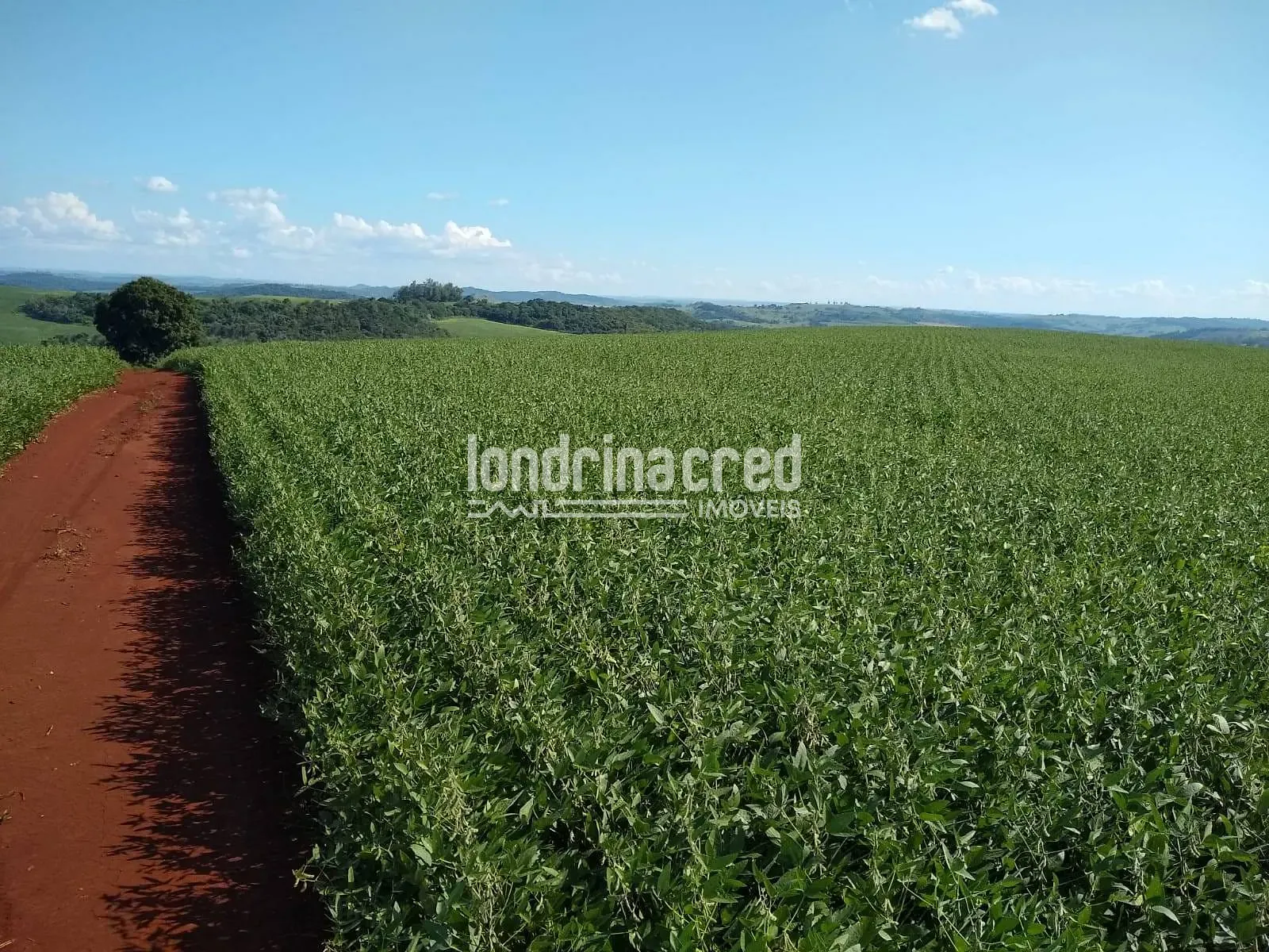Terreno, 9 hectares - Foto 1