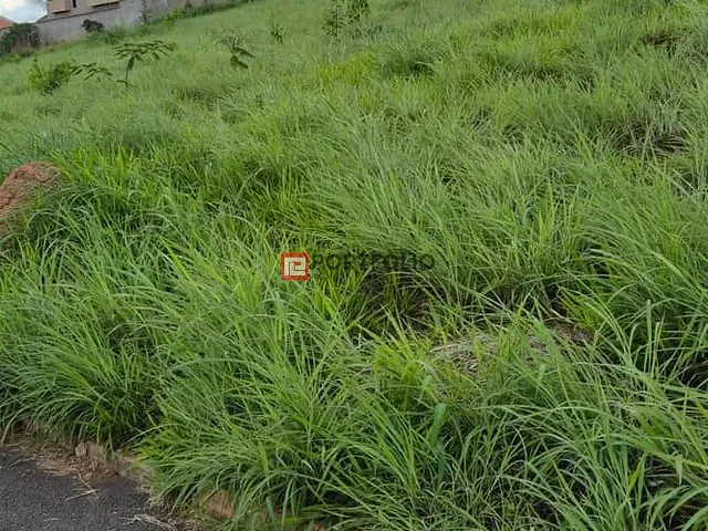 Terreno com 360m², à venda, no bairro Residencial Marília em Senador Canedo