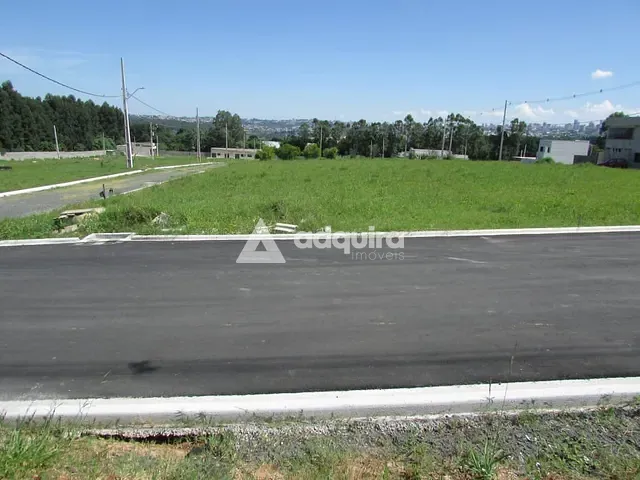 Terreno com 405m², à venda, no bairro Colônia Dona Luíza em Ponta Grossa