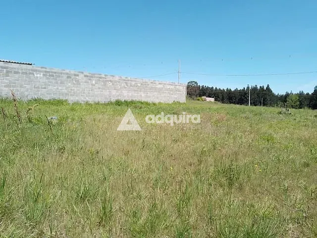 Terreno com 502m², à venda, no bairro Colônia Dona Luíza em Ponta Grossa