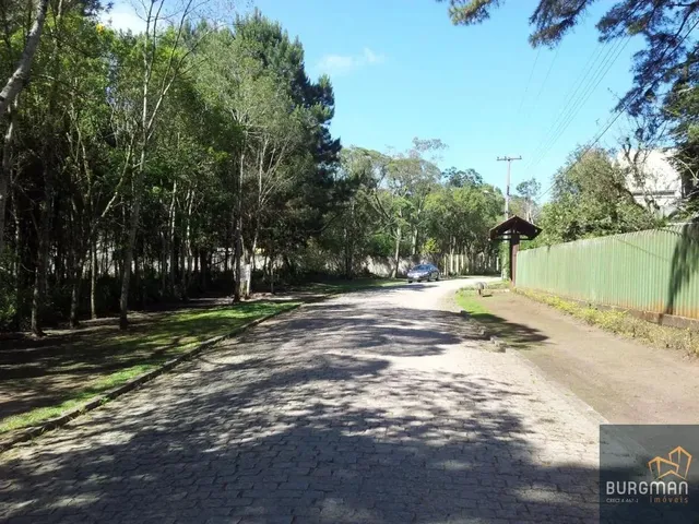 Terreno à venda, no bairro Borda Do Campo em São José Dos Pinhais