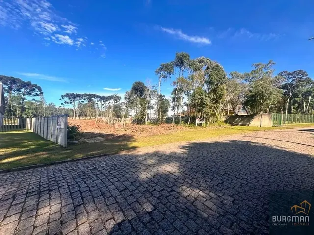 Terreno à venda, no bairro Borda Do Campo em São José Dos Pinhais