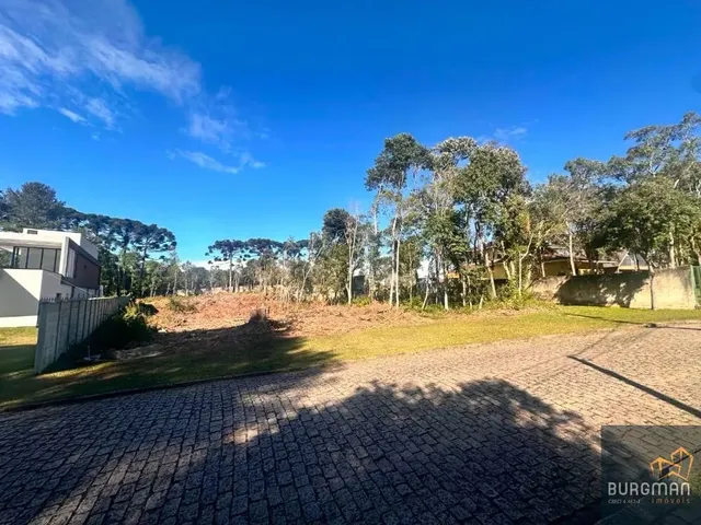 Terreno à venda, no bairro Borda Do Campo em São José Dos Pinhais