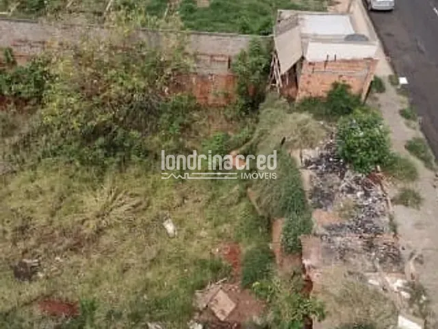 Terreno com 1700m², à venda, no bairro Dom Bosco em Londrina