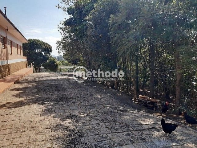Terreno, 300 m² - Foto 19