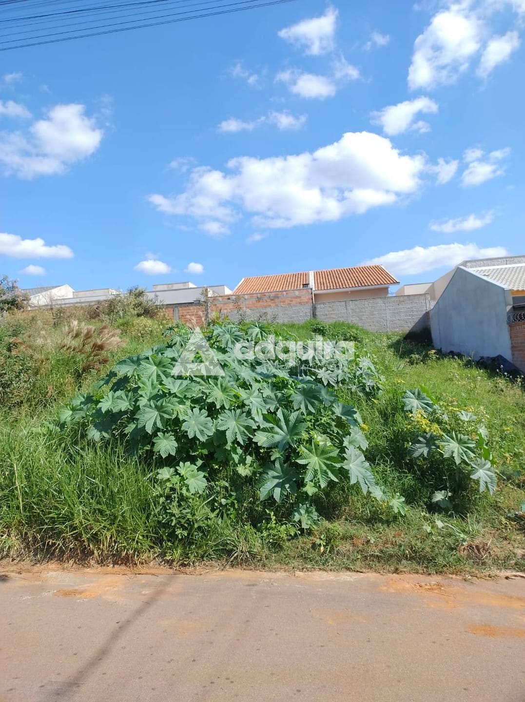 Terreno, 240 m² - Foto 3