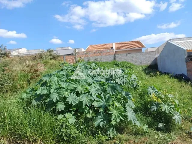 Terreno com 240m², à venda, no bairro Colônia Dona Luíza em Ponta Grossa