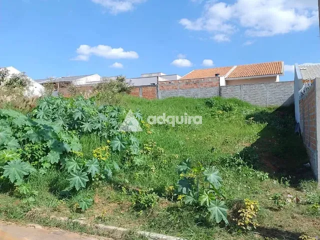 Terreno com 240m², à venda, no bairro Colônia Dona Luíza em Ponta Grossa