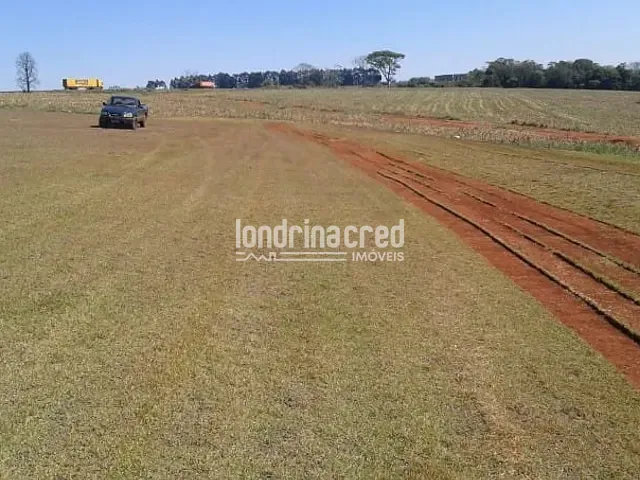 Terreno com 92000m², à venda, no bairro Manoel Müller em Rolândia