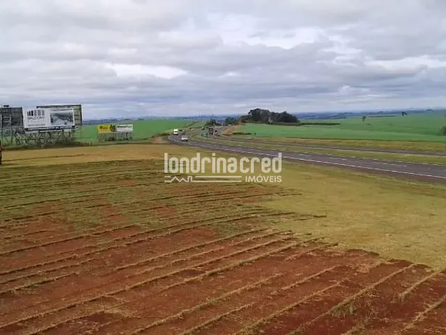 Terreno com 92000m², à venda, no bairro Manoel Müller em Rolândia