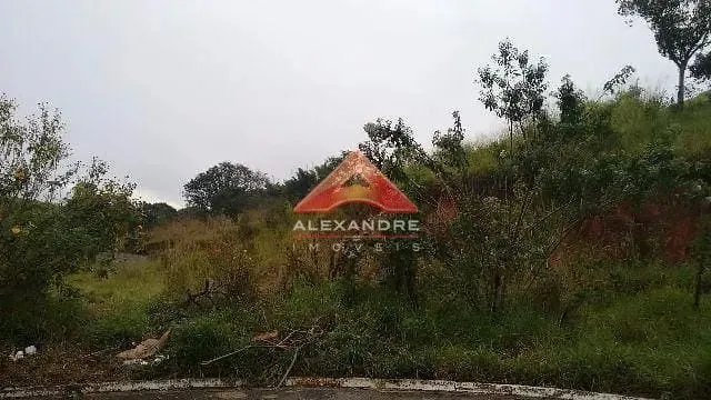 Terreno, 5077 m² - Foto 8