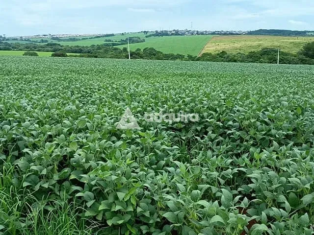 Terreno com 208000m², à venda, no bairro Boa Vista em Ponta Grossa