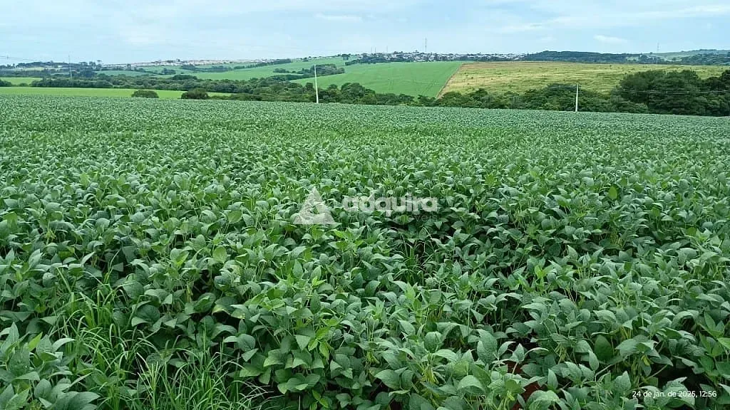 Terreno, 21 hectares - Foto 1