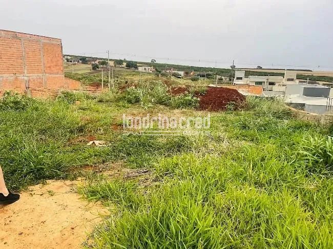 Terreno, 260 m² - Foto 2