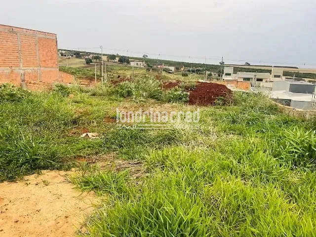 Terreno com 260m², à venda, no bairro Jardim Adriana II em Londrina
