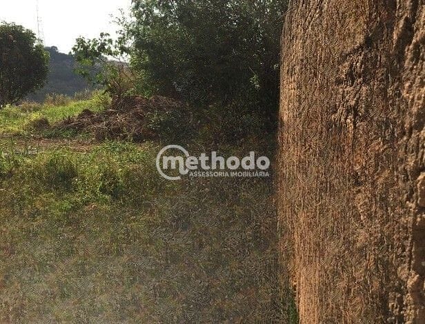 Terreno, 330 m² - Foto 5