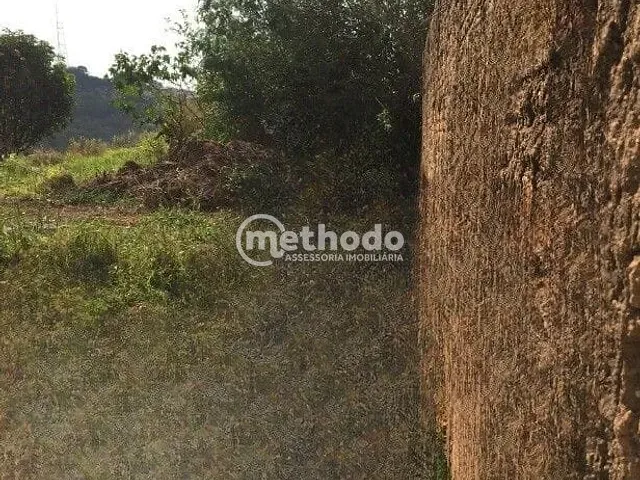 Terreno com 330m², à venda, no bairro Vila Formosa em Campinas