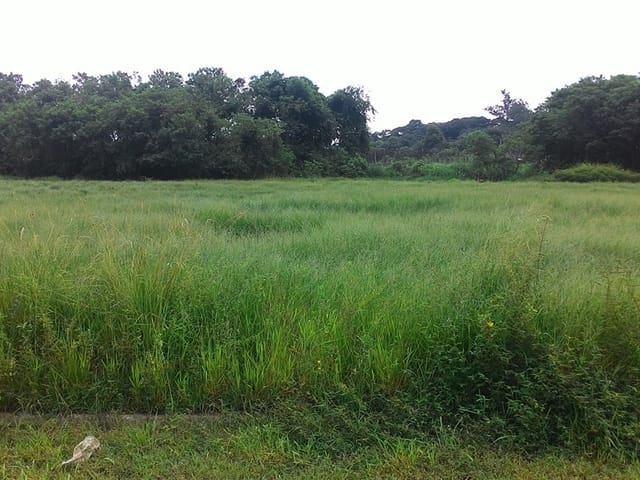 Terreno com 340m², à venda, no bairro Parque São Domingos em Pindamonhangaba