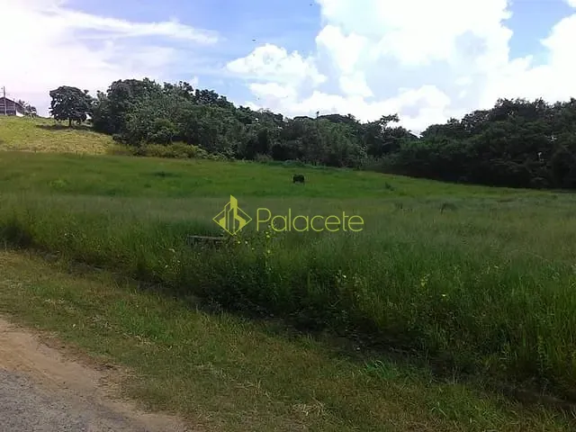 Terreno com 340m², à venda, no bairro Parque São Domingos em Pindamonhangaba