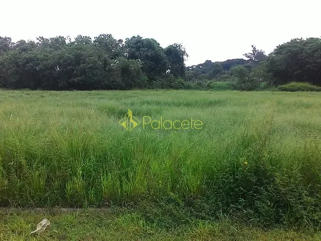 Terreno com 340m², à venda, no bairro Parque São Domingos em Pindamonhangaba