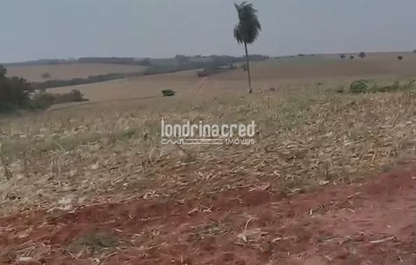 Terreno, 32 hectares - Foto 1