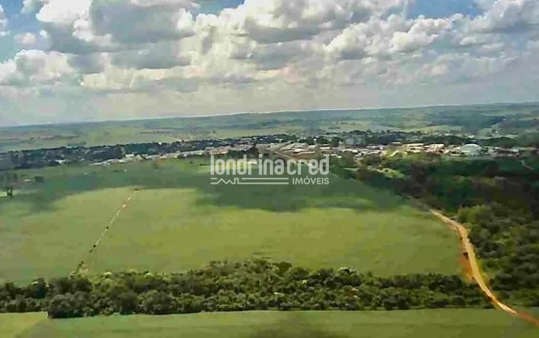 Terreno, 32 hectares - Foto 5