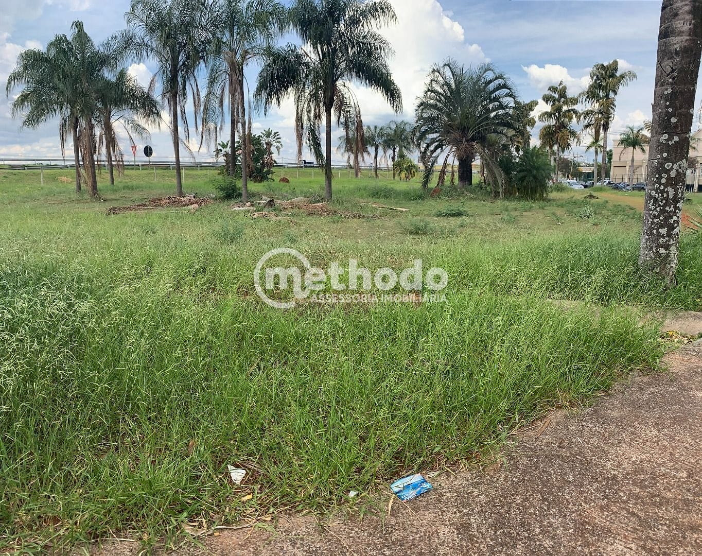 Terreno, 3873 m² - Foto 5