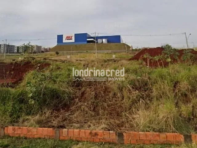 Terreno com 250m², à venda, no bairro Pioneiros em Londrina