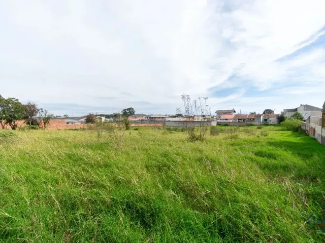 Terreno à venda, no bairro JARDIM BUSMAYER em Campo Largo