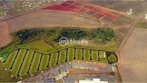 Terreno, 250 m² - Foto 3